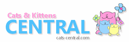 Cats and Kittens Central