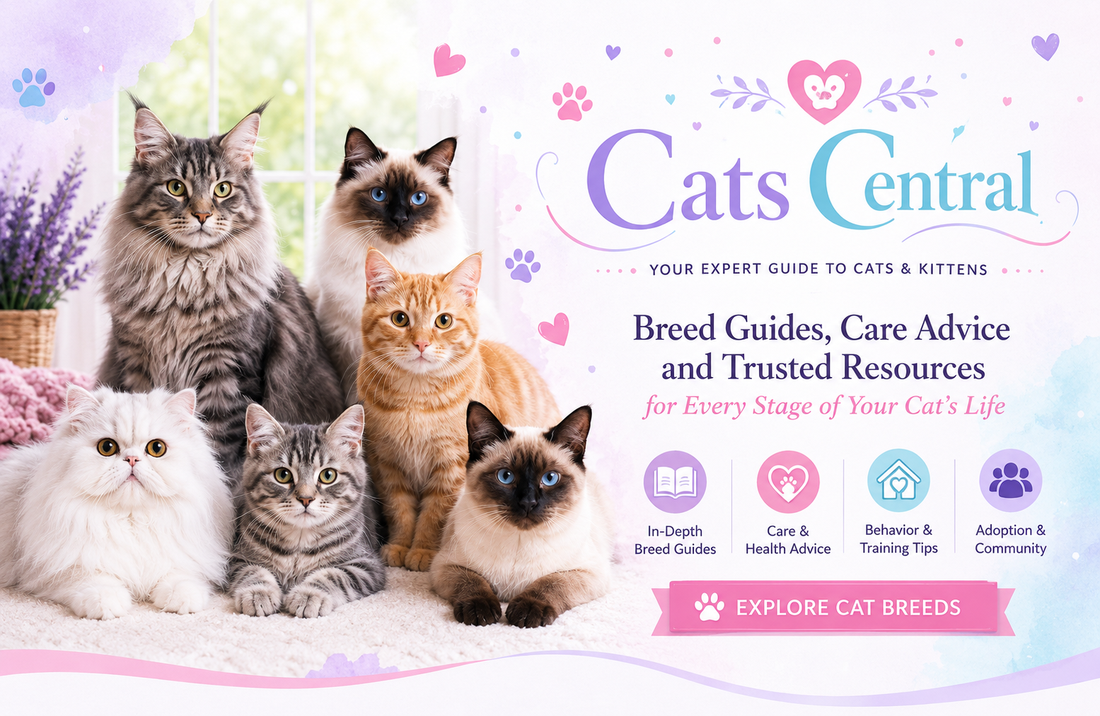 Cats Central – Your Expert Guide to Cat Breeds, Care, Health and Responsible Cat Ownership